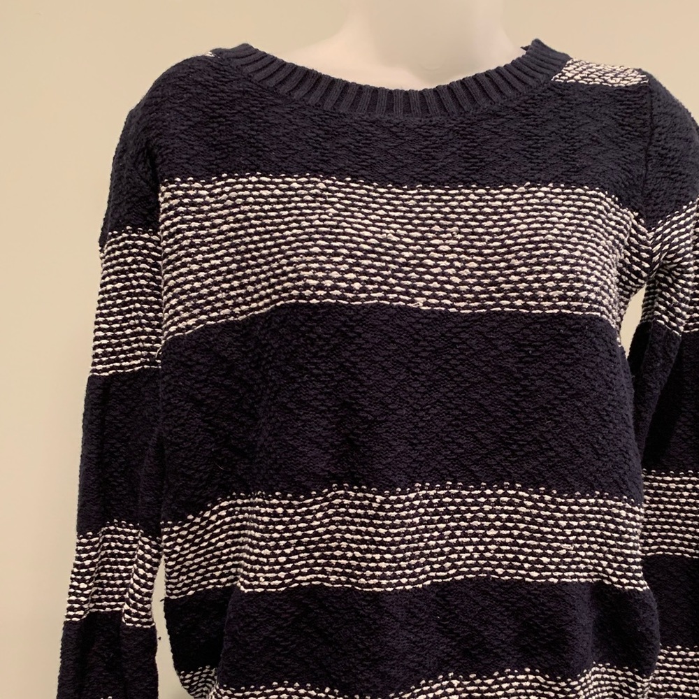 Fossil Stripped Sweater
